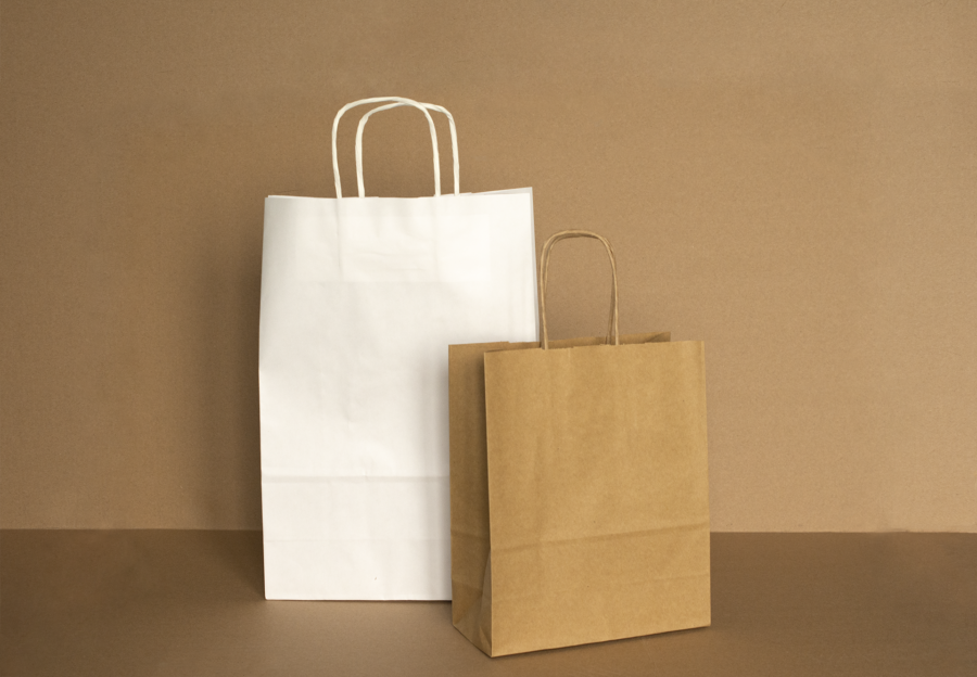 Sac poignées torsades en kraft